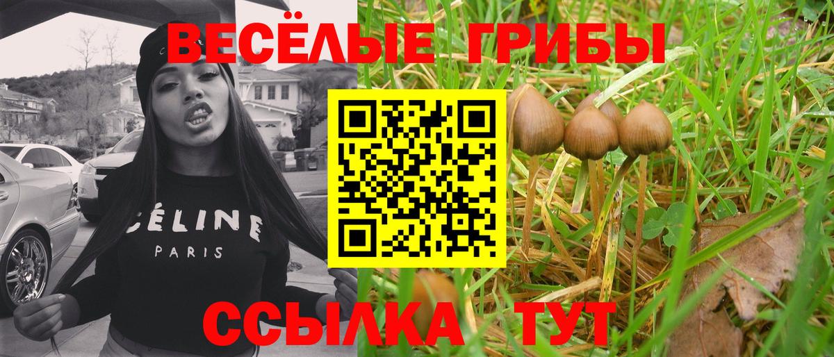 Псилоцибиновые грибы прущие грибы  Галлюциногенные грибы MAGIC MUSHROOMS  Карасук  Вход с VPN 