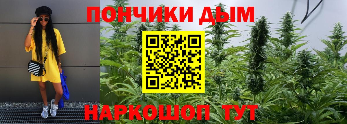 Конопля тримм  Бошки марихуана VHQ  Вход с VPN  Карасук  Шишки марихуана OG Kush 